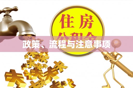 前郭尔罗斯政策、流程与注意事项