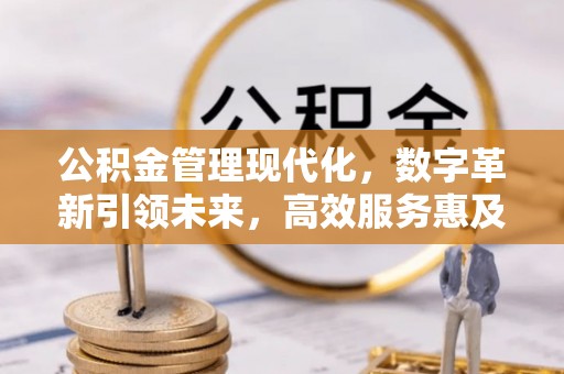 前郭尔罗斯公积金管理现代化，数字革新引领未来，高效服务惠及民生