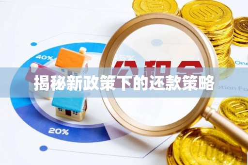 前郭尔罗斯揭秘新政策下的还款策略