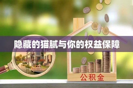 前郭尔罗斯隐藏的猫腻与你的权益保障