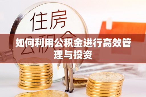 前郭尔罗斯如何利用公积金进行高效管理与投资