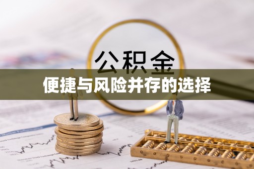 前郭尔罗斯便捷与风险并存的选择