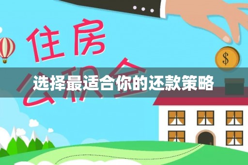前郭尔罗斯选择最适合你的还款策略