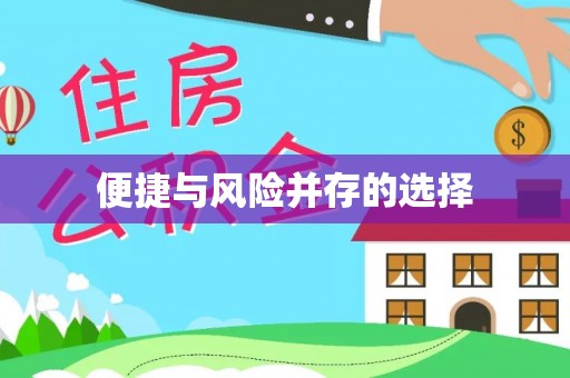 前郭尔罗斯便捷与风险并存的选择