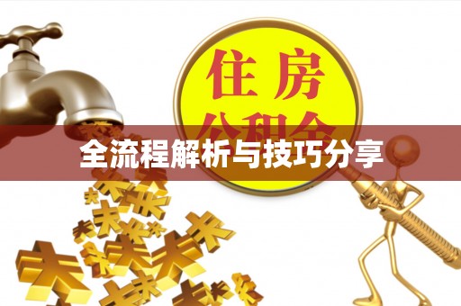 前郭尔罗斯全流程解析与技巧分享